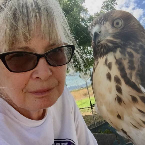 Meet your Posher, Sherry - Picture 1 of 1